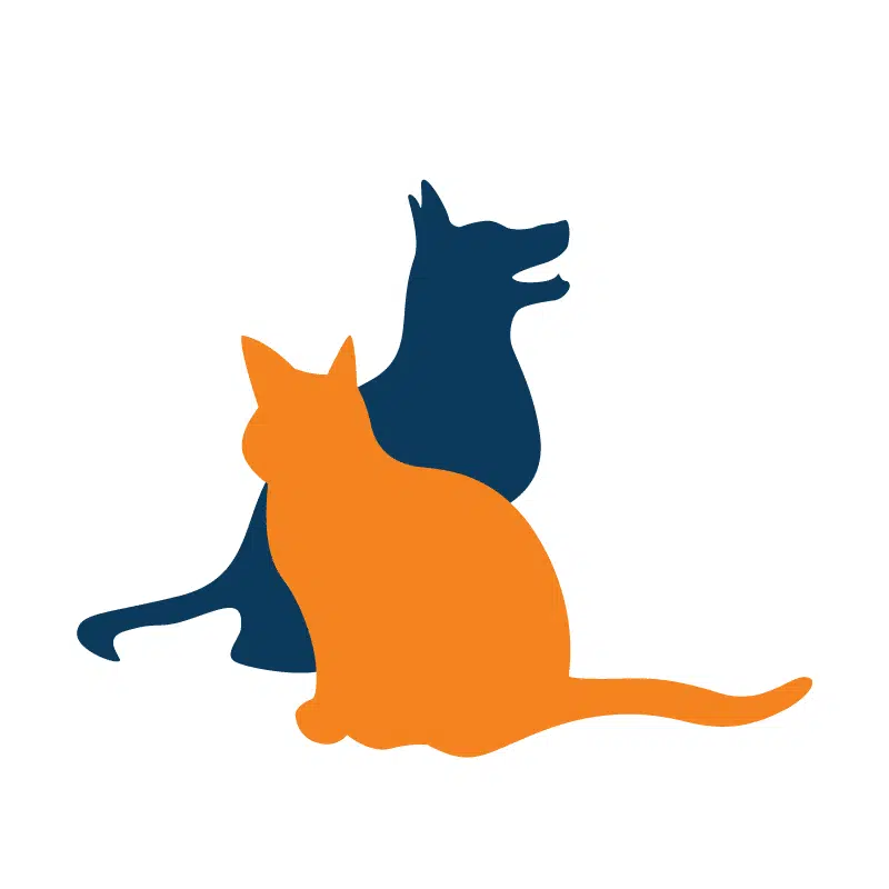 moving your pet to the UK